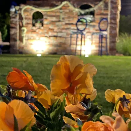 Nad Rozlewiskiem Basen, Malpi Gaj W Swietlicy - Wszystko Dla Dzieci * Sarbinowo