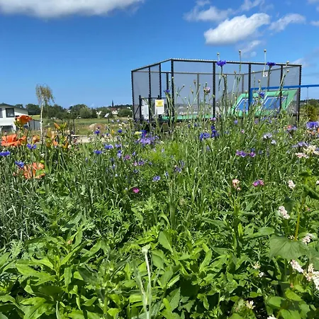 Nad Rozlewiskiem Basen, Malpi Gaj W Swietlicy - Wszystko Dla Dzieci