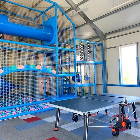 Nad Rozlewiskiem Basen, Malpi Gaj W Swietlicy - Wszystko Dla Dzieci *