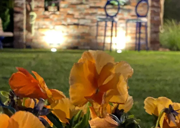 Nad Rozlewiskiem Basen, Malpi Gaj W Swietlicy - Wszystko Dla Dzieci * 萨比诺瓦